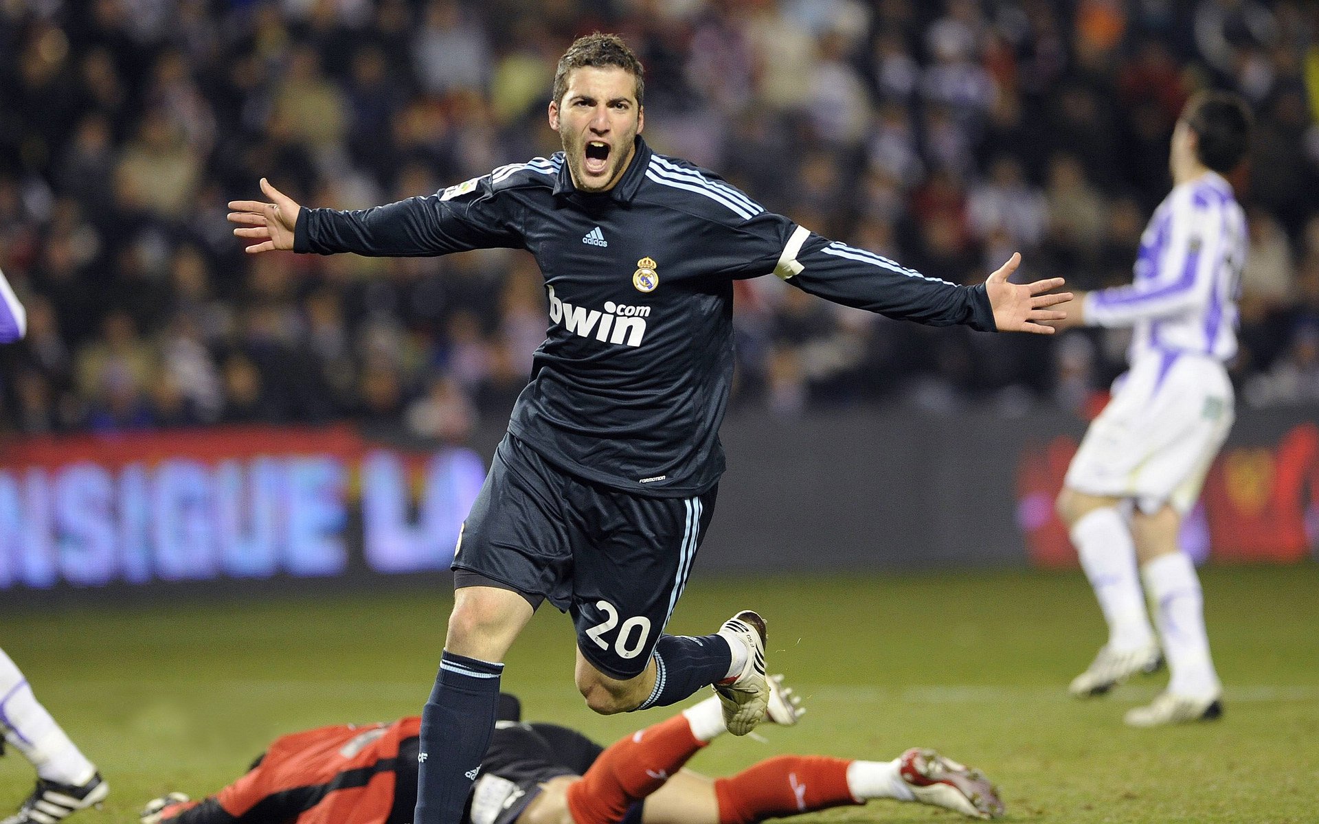 澳大利亚男子橄榄球赛事吸引国际观众,澳大利亚英式橄榄球联赛